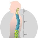 드림헬스 이미지