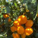 달밤펜션 이미지