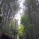 구카페 - 하남시 미사강변한강로 279 | 여자 오사카 무계획 여행 DAY1,2 | 교토 | 하이산백팩 | 아이폰7카메라 | 후기
