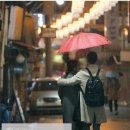 153인테리어필름 - 창원시 의창구 명서로 83 | 153인테리어필름