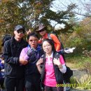 장림1동-11 이미지