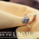 라임디자인 이미지