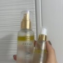 폴스킨 | 구매] 폴스킨 국승채 프리미엄 내추럴 오일 미스트 앰플 후기 / 120ml + 50ml 갓성비 구성을 만원대에?!