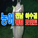 관기방조제~공정마을 | 전남 여수 도보 워킹 루어 원투 농어낚시 잘잡히는 포인트
