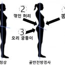 비타민 헬스센타 이미지