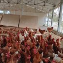 기특이네 농장 이미지