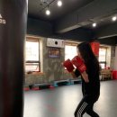 챔프복싱짐 이미지