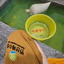 합구 | 부안 변산해수찜 해수탕 가격, 예약, 이용후기