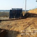 솔향블루베리농원
