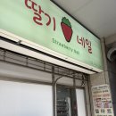 화이트 | 홍대 네일 가성비 좋은 마포 딸기네일 화이트 그라데이션 후기