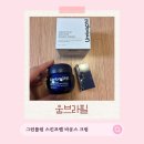 그린플럼 | 움브라필 화잘먹크림 추천, 모공까지 매끈하게 잡아주는 그린플럼 스킨프렙 바운스 크림 후기
