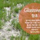 순천만영어조합법인 이미지