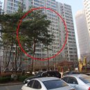 서구-01-46 이미지