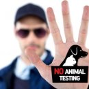 포인트동물의료센터 이미지