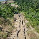 인성리-2 | [단산] 오름의 형상이 박쥐가 날개를 펼친 모습이라 하여 이름 붙여진 오름