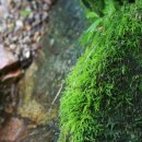 패밀리야영장 이미지