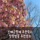 경원중학교 | 2023년 진해군항제 추천숙소(코로나 감동 숙소)