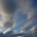 이천농장 이미지