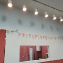 댕댕댕 애견유치원 이미지