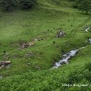 마루목장 이미지