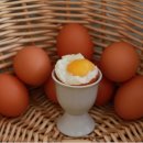 용인양계 이미지