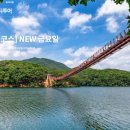 파주시티투어 자연과역사(수요일) 이미지