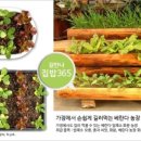 연부농장 이미지
