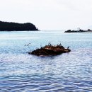 신지면-1 이미지