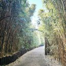 죽도(선착장) 공중화장실 이미지