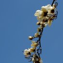 신안남강둔치 이미지