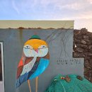 제주 월령리 선인장군락 | 제주 판포 포구 카페 울트라 마린 월령리 선인장 군락