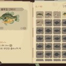 편안낚시