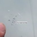 부산자동차유리복원 - 사하구 낙동대로 542 | 부산자동차유리복원