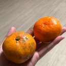 (집)초록마을 소하점 이미지