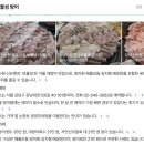보물섬횟집 | 논현동 대방어 맛집 보물섬, 예약 필수인 강남 횟집 후기