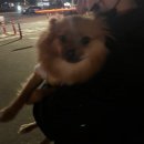 댕구름 - 금정구 식물원로17번길 7 | 댕구름