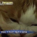 엄마손칼국수 - 관악구 관악로14길 105 | 엄마손칼국수