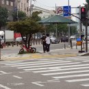 교통섬 이미지