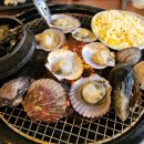 낭만조개 이미지