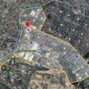 종합운동장 가로수길 이미지