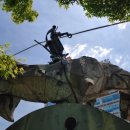 돈키호테-무식한 소 이미지