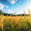 밥이맛있는집 이미지