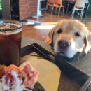 두언 27 | [여수 율촌] 와온해변 근처 딸기디저트 맛집 추천 카페두언