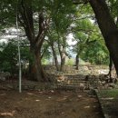 팔공산올레길 8코스 이미지