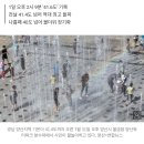 경남 양산 '41.6도' 역대 최고기온 경신...나흘째 40도 돌파 이미지