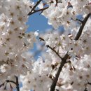 안녕하세요한의원 이미지