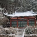 수안사