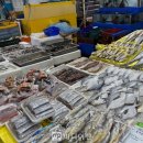 한국수산질병관리원 이미지