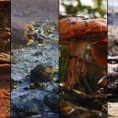 도깨비 게임즈 이미지