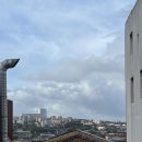 중동088 | 포르투갈 포르투 4박 5일 여행 3일차 | 도우루강, 와이너리투어, 모루정원